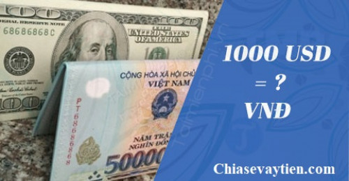 100 Đô La bằng bao nhiêu tiền Việt Nam? Cập nhập mới nhất ngày 21/02/2025