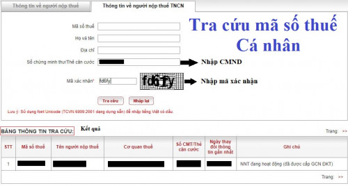 Tra cứu mã số thuế cá nhân qua CMND