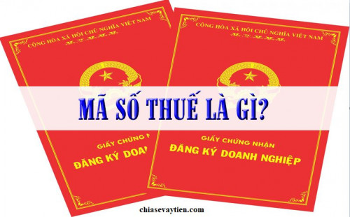 Mã số thuế là gì? Các thông tin quan trọng liên quan đến mã số thuế