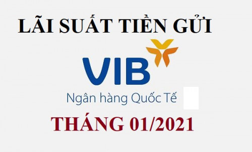 Lãi suất VIB tháng 01/2025 : Tiếp tục giảm mức lãi suất