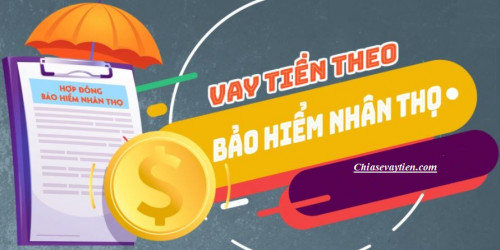 Vay tiền theo bảo hiểm nhân thọ hạn mức 100 triệu mới nhất 2025