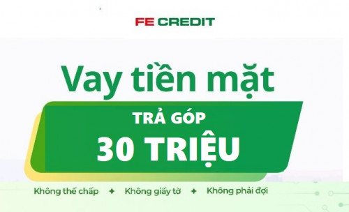 Vay 30 triệu trả góp Fe Credit lãi suất bao nhiêu trong năm 2025