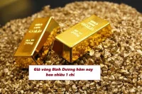 Giá vàng 18k, 24k Bình Dương Hôm Nay bao nhiêu 1 chỉ tháng 10/2025