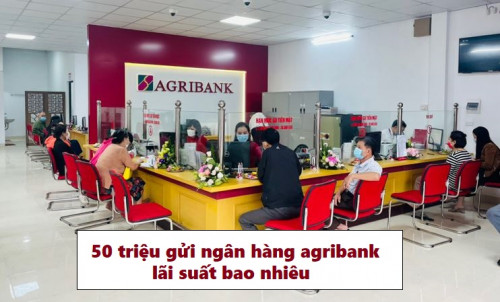 Có 50 triệu gửi ngân hàng Agribank lãi suất bao nhiêu 1 tháng năm 2025