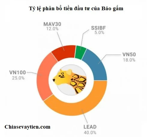 Tỷ lệ phân bổ đầu tư cấu trúc Báo Gấm