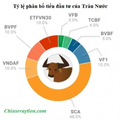 Tỷ lệ phân bổ đầu từ Cấu trúc trâu nước