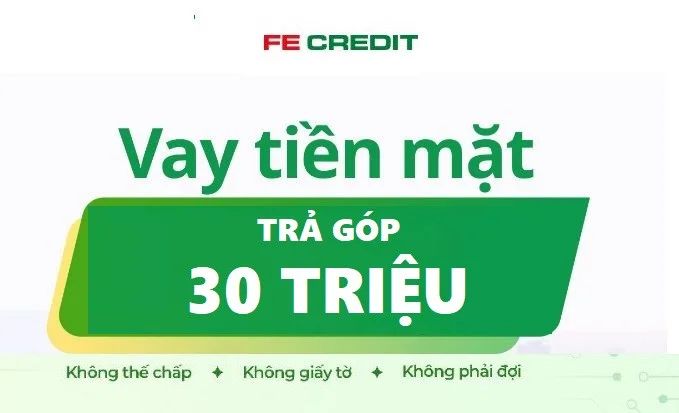 Vay 30 triệu trả góp Fe Credit 24 tháng