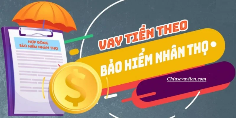 Vay tiền theo hợp đồng bảo hiểm nhân thọ